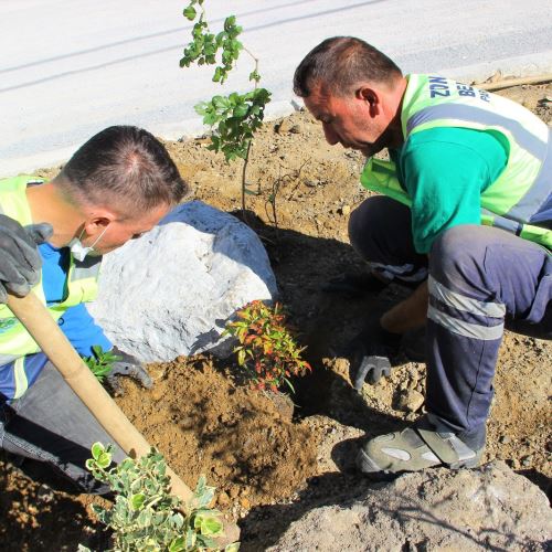 Şehrimize Yeni Park Alanları Kazandırıyoruz