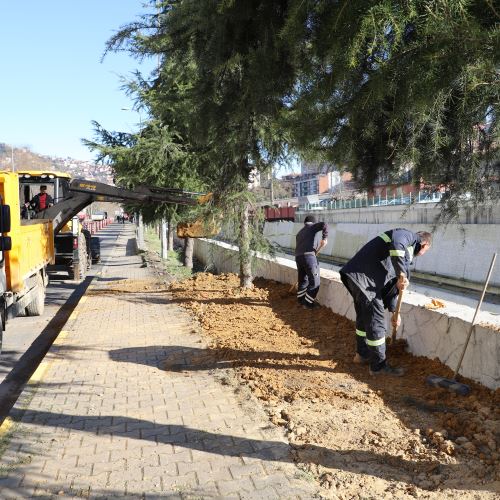 Şehrimizi Güzelleştirmeye Devam Ediyoruz