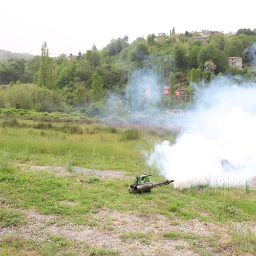 Ekiplerimiz Sineklere Karşı İlaçlama Uygulamasını Sürdürüyor