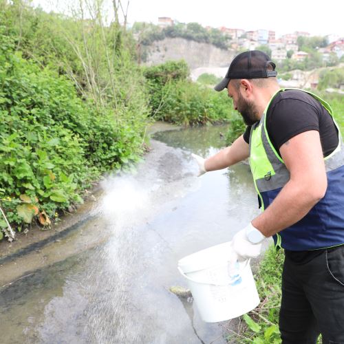 Ekiplerimiz Sineklere Karşı İlaçlama Uygulamasını Sürdürüyor