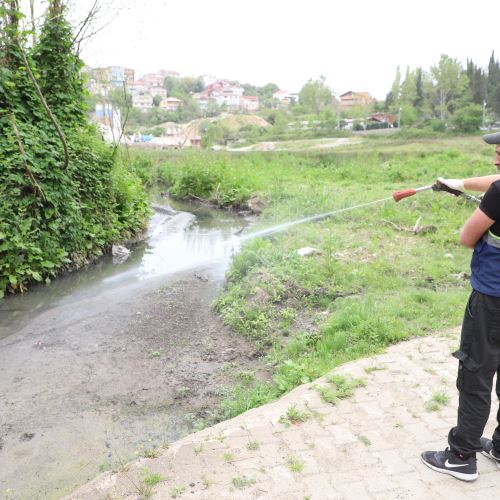 Ekiplerimiz Sineklere Karşı İlaçlama Uygulamasını Sürdürüyor