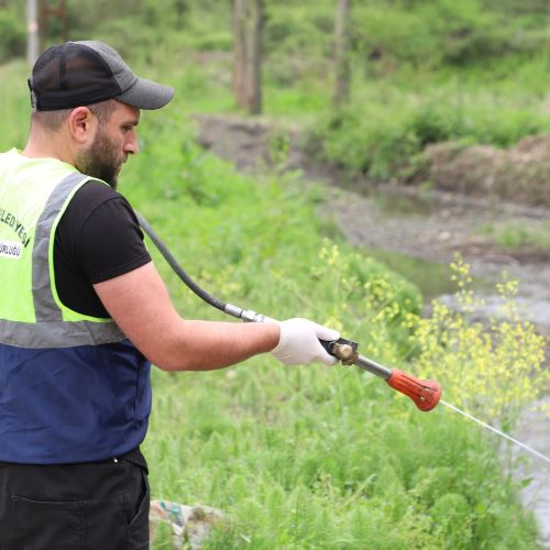 Ekiplerimiz Sineklere Karşı İlaçlama Uygulamasını Sürdürüyor