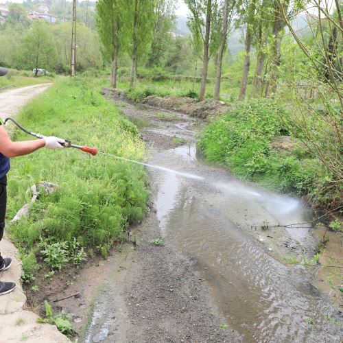 Ekiplerimiz Sineklere Karşı İlaçlama Uygulamasını Sürdürüyor