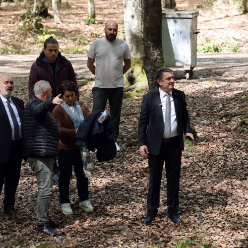 Başkanımız Sn.Tahsin Erdem'den Kent Ormanı’nda Kapsamlı İnceleme