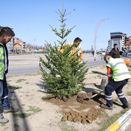 Zonguldak’ın Yeşil Dokusunu Güçlendirmeye Devam Ediyoruz