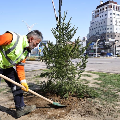 Zonguldak’ın Yeşil Dokusunu Güçlendirmeye Devam Ediyoruz