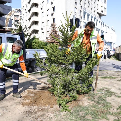 Zonguldak’ın Yeşil Dokusunu Güçlendirmeye Devam Ediyoruz