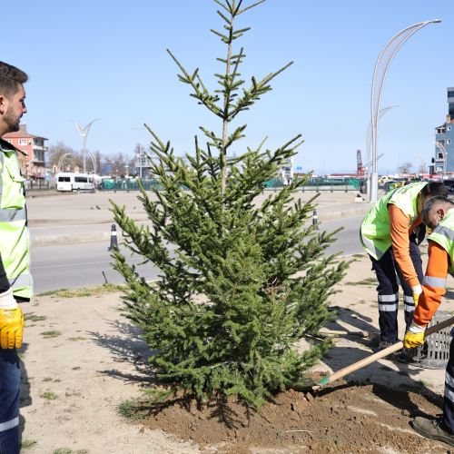Zonguldak’ın Yeşil Dokusunu Güçlendirmeye Devam Ediyoruz
