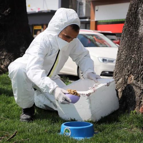 Sokak Canlarımıza Mama Dağıtımımız Aralıksız Devam Ediyor