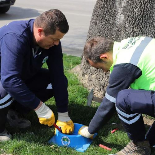 Sokak Canlarımıza Mama Dağıtımımız Aralıksız Devam Ediyor