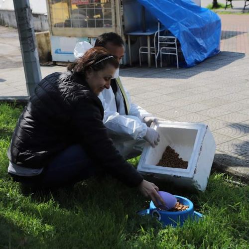 Sokak Canlarımıza Mama Dağıtımımız Aralıksız Devam Ediyor