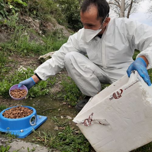 Ekiplerimizden Can Dostlarımıza Mama Desteği