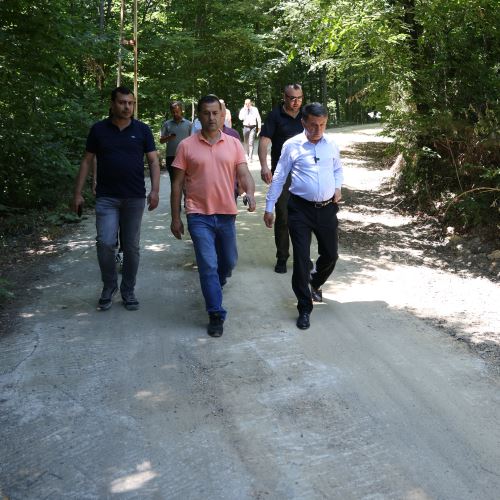 Fotoğraflar