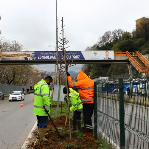 Milli Egemenlik Caddesi'ni Yeşillendiriyoruz