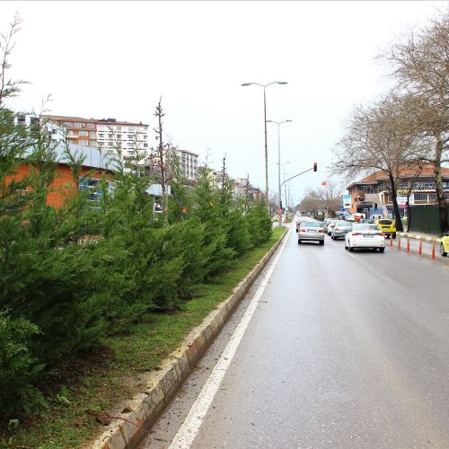 Milli Egemenlik Caddesi'ni Yeşillendiriyoruz