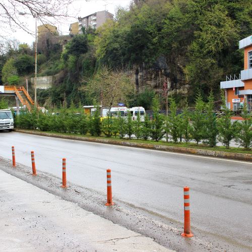 Milli Egemenlik Caddesi'ni Yeşillendiriyoruz