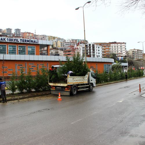 Milli Egemenlik Caddesi'ni Yeşillendiriyoruz