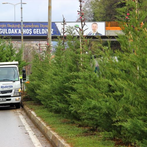 Milli Egemenlik Caddesi'ni Yeşillendiriyoruz