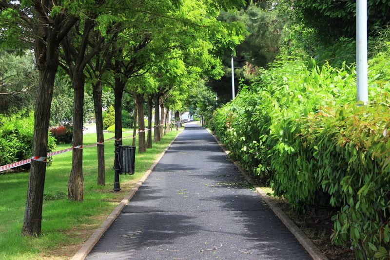 İstanbul Park Yürüyüş Parkuru Yenileniyor