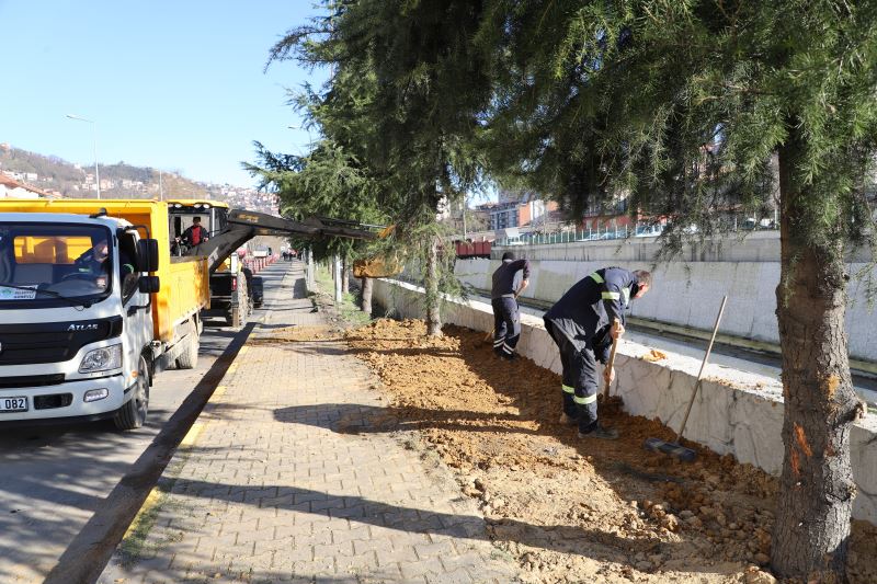 Şehrimizi Güzelleştirmeye Devam Ediyoruz