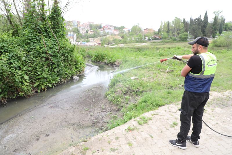 Ekiplerimiz Sineklere Karşı İlaçlama Uygulamasını Sürdürüyor