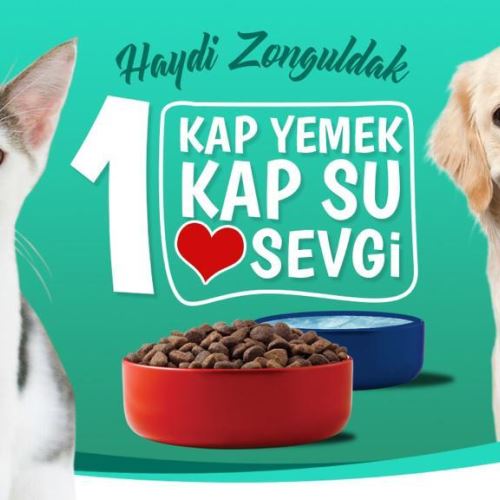 Sokak Canlarımızı Unutmayalım