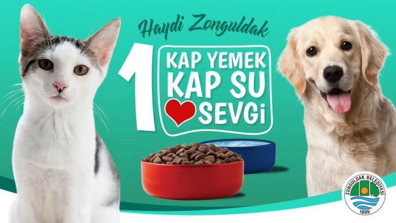 Sokak Canlarımızı Unutmayalım