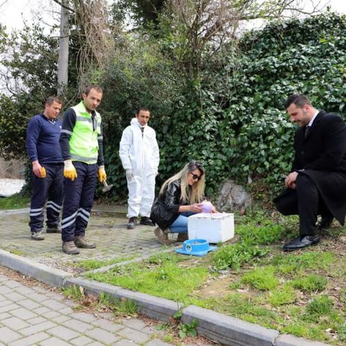 Sokak Canlarımıza Mama Dağıtımımız Aralıksız Devam Ediyor