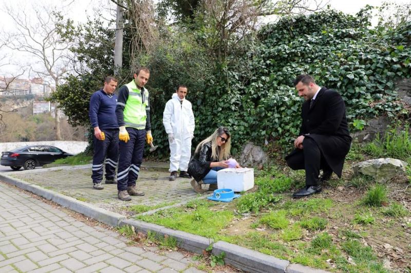 Sokak Canlarımıza Mama Dağıtımımız Aralıksız Devam Ediyor