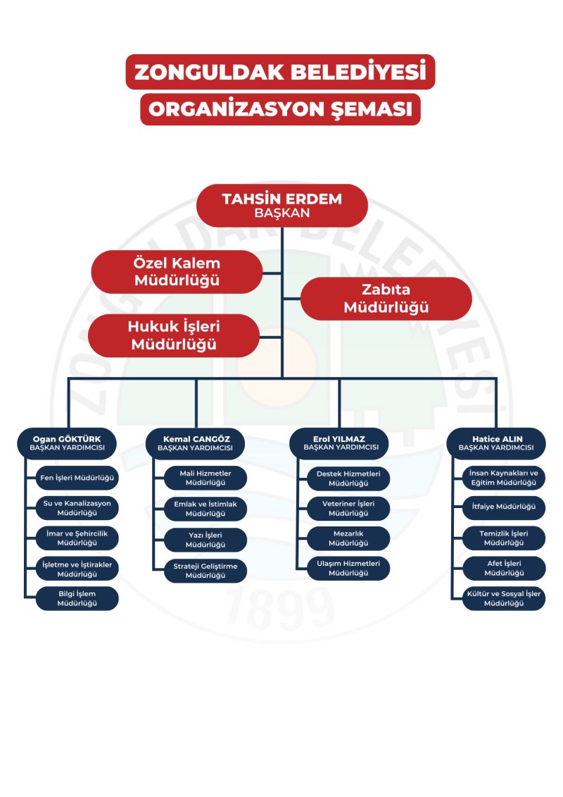 Organizasyon Şeması