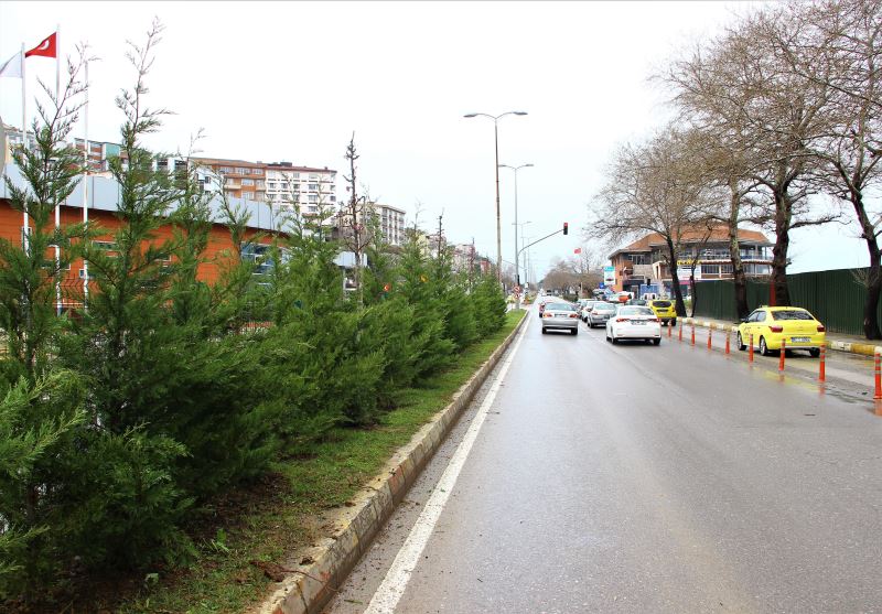 Milli Egemenlik Caddesi'ni Yeşillendiriyoruz