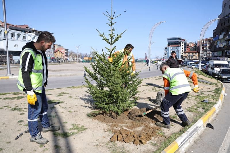 Zonguldak’ın Yeşil Dokusunu Güçlendirmeye Devam Ediyoruz